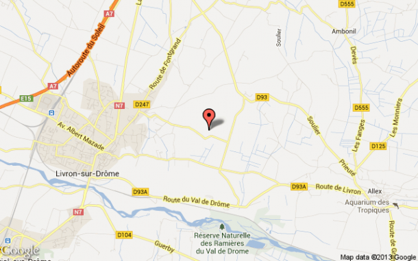 Carte google