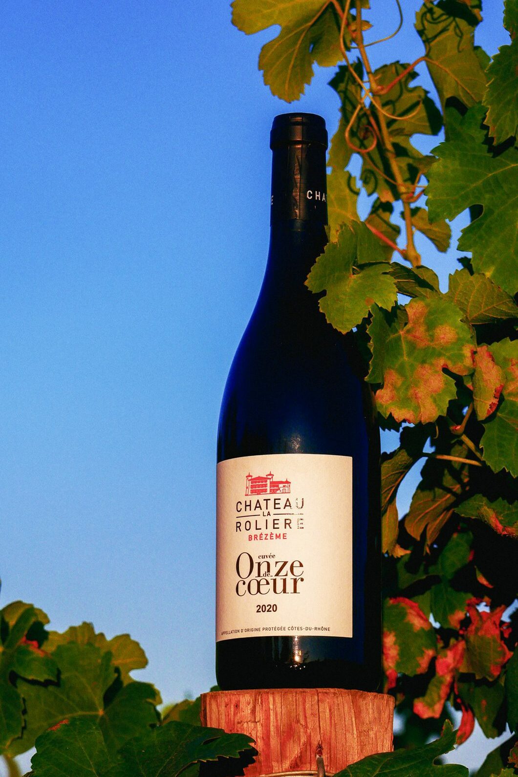 Bouteille de Château La Rolière Brézème Onze de Coeur dans les vignes