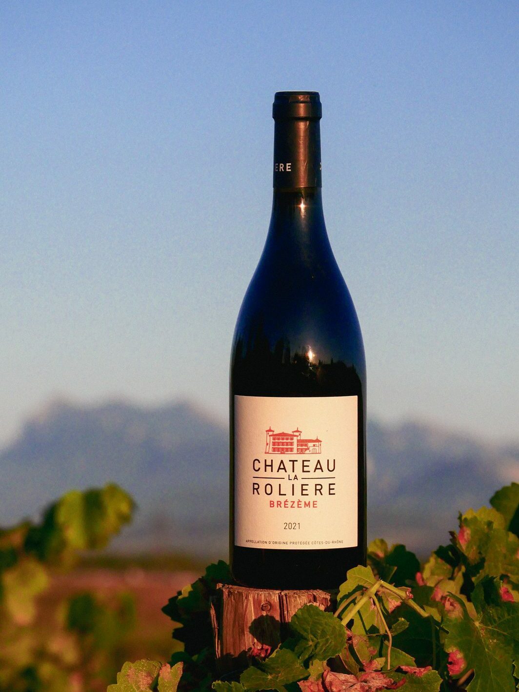 Bouteille de Château La Rolière Brézème dans les vignes. Les trois becs en arrière plan.